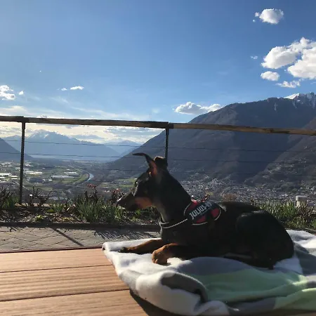 Scarpape Apartament *